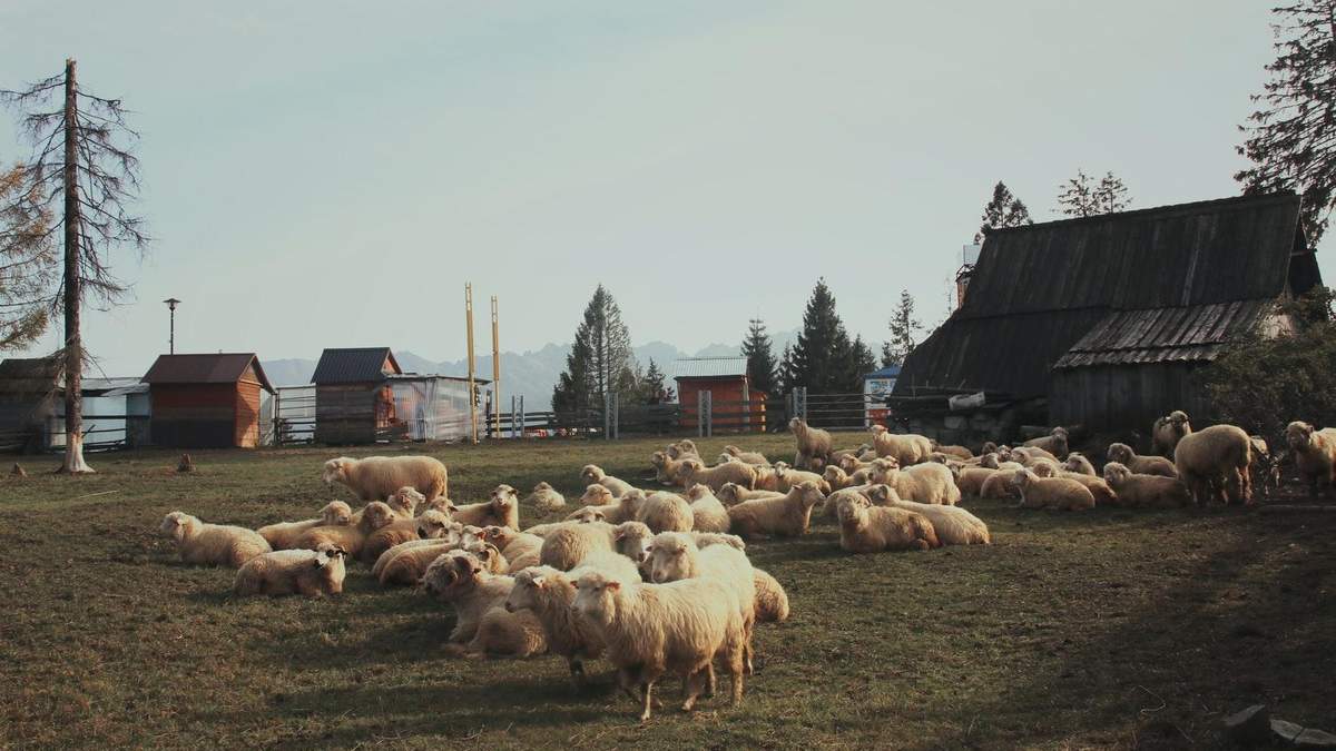 Інтер'єр офісу будинку на старій фермі – фото з Англії Інтер'єр офісу будинку на старій фермі – фото з Англії